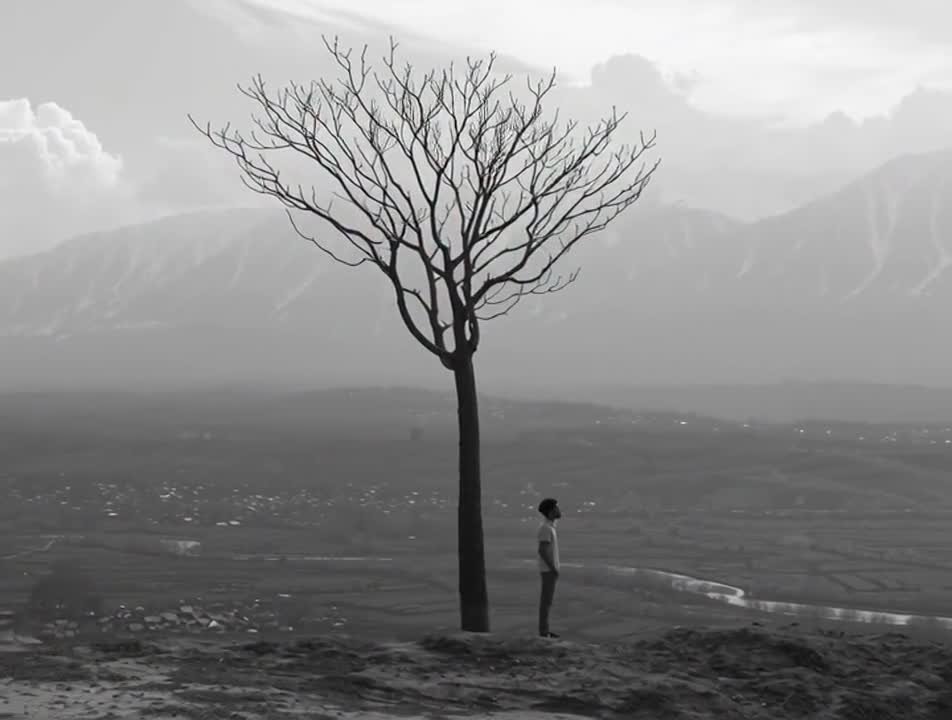 Figura y paisaje · Narrativa visual